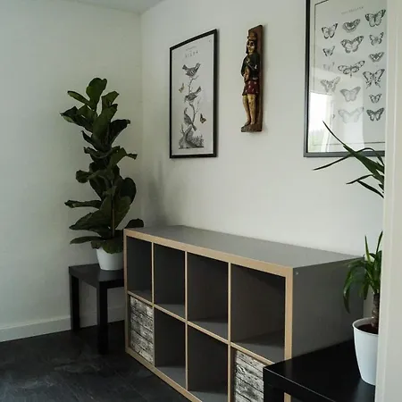 Wohlfuehlen Am Grossen Goitzschesee Holzweissig