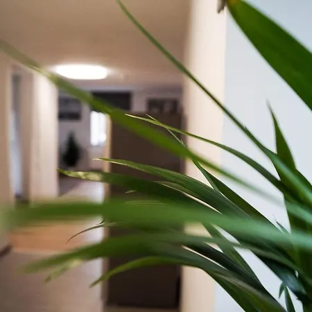 Wohlfuehlen Am Grossen Goitzschesee Inkl. Netflix Apartman