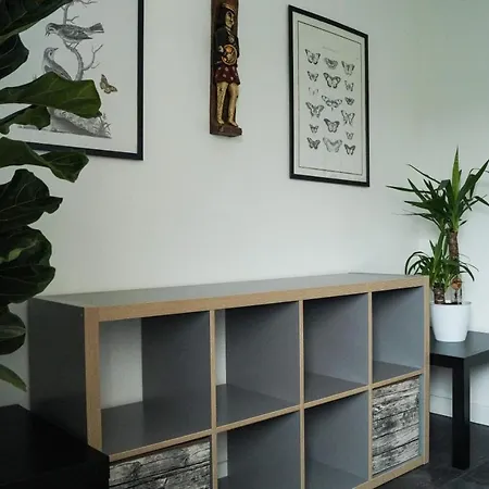 Wohlfuehlen Am Grossen Goitzschesee Holzweissig