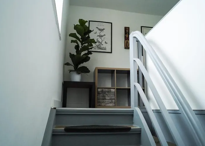 Wohlfuehlen Am Grossen Goitzschesee דירה