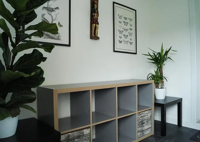 Wohlfuehlen Am Grossen Goitzschesee Holzweissig